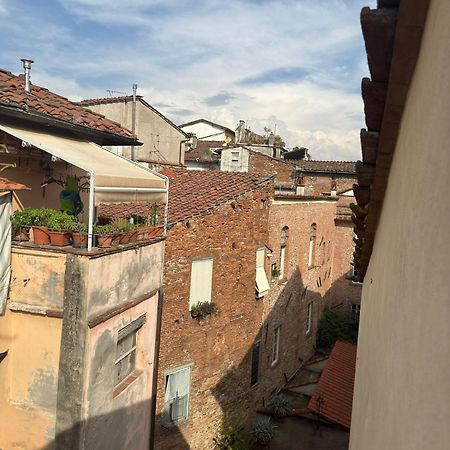 La Casa Del Galletto - At The Top Of The City Lucca Ngoại thất bức ảnh